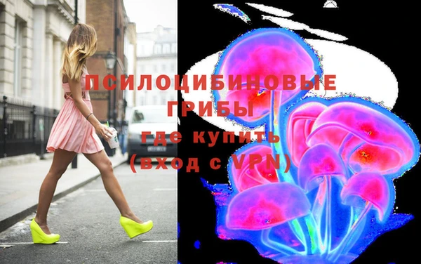Альфа ПВП Абаза