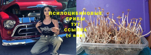 мяу мяу мука Алзамай