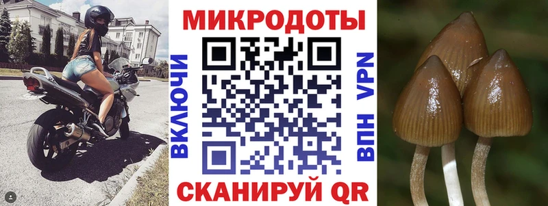 Псилоцибиновые грибы мухоморы Новоуральск